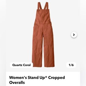 Patagonia Stand Up Cropped Overalls - Umber Brown